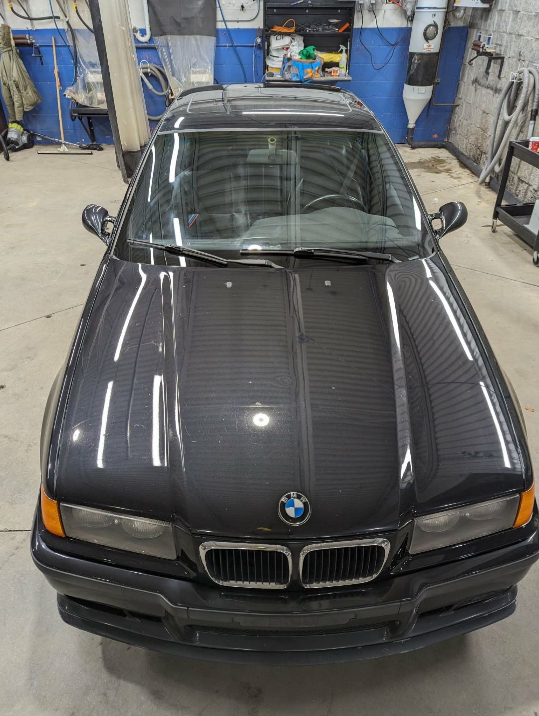 BMW M3 E36 — top-down hood after exterior detail