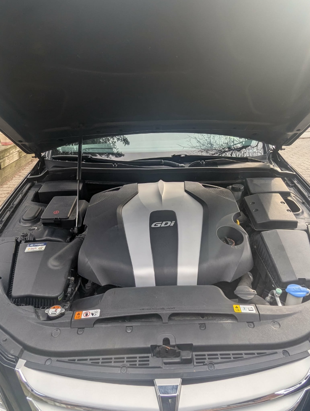 Hyundai Genesis — engine bay clean GDi label visible after full detail