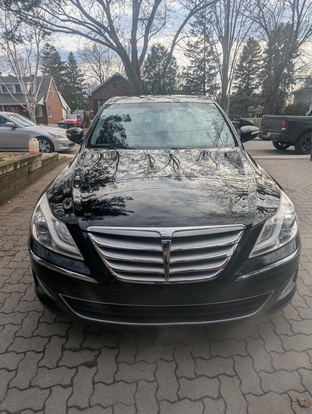 Hyundai Genesis — front straight with reflective hood after full detail
